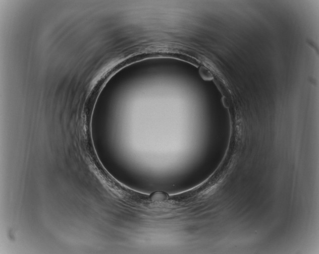 X0000100350981200806061110