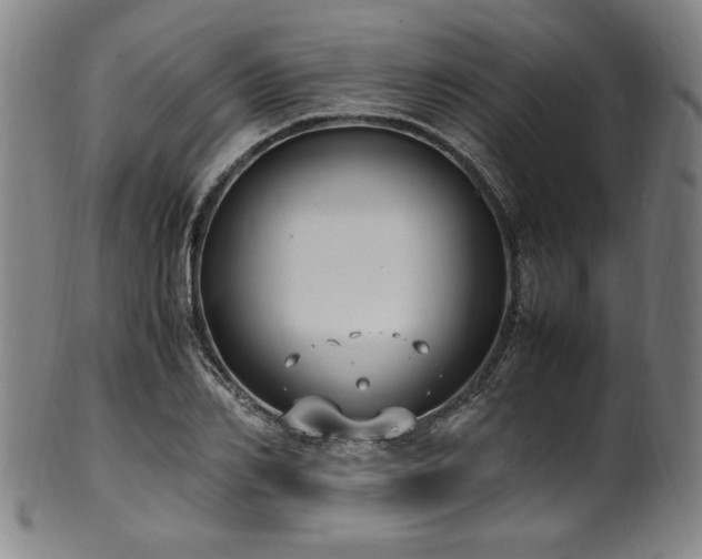 X0000100350982200806061110