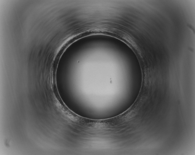 X0000100350984200806061110