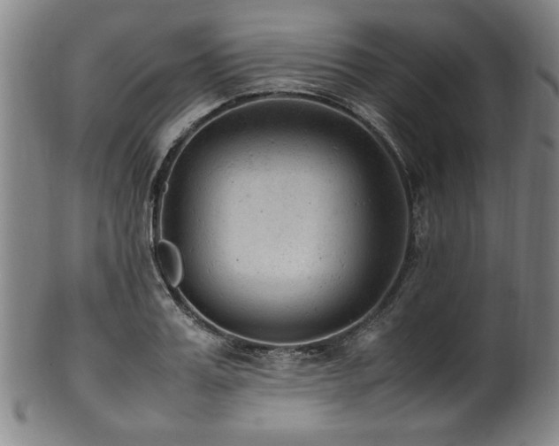 X0000100350987200806061110
