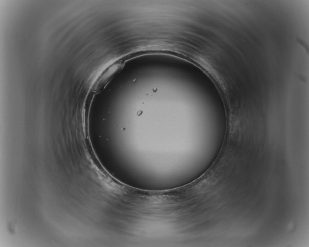 X0000100350988200806061110
