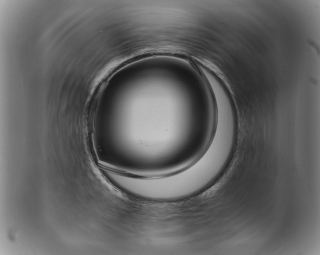 X0000100350989200806061110