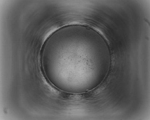 X0000100350991200806061110