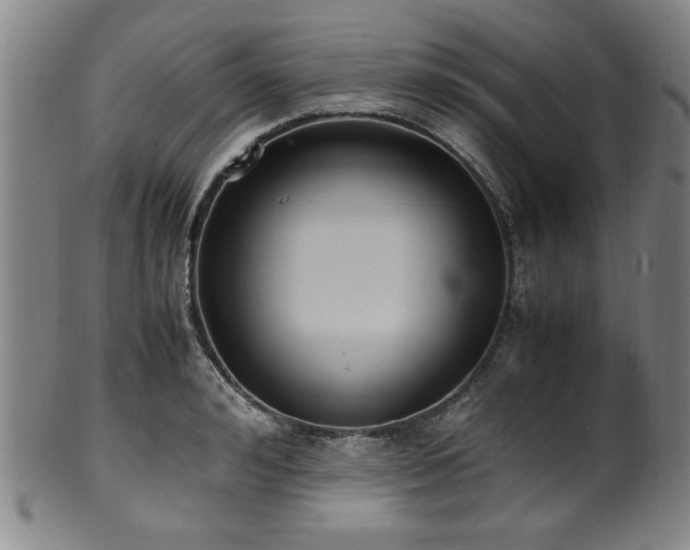X0000100350992200806061110