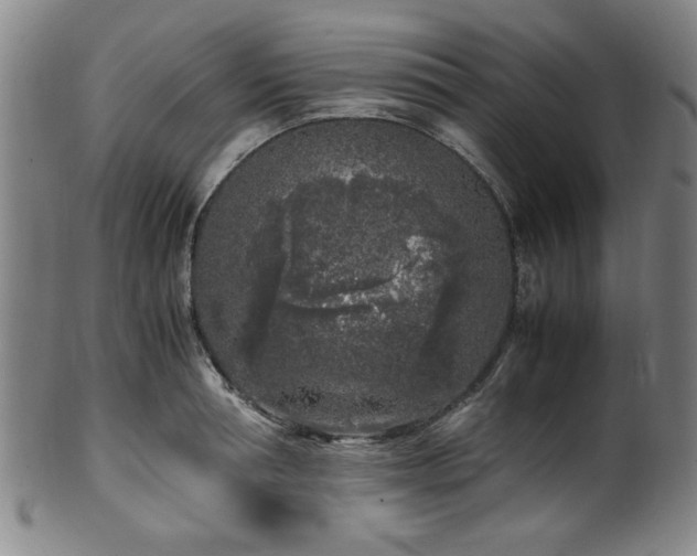 X0000100350994200806061110