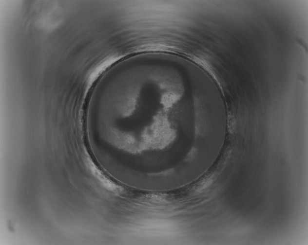 X0000100350995200806061110