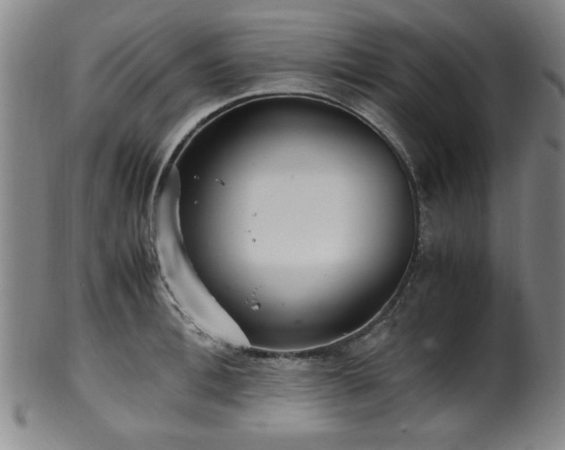 X0000100350996200806061110