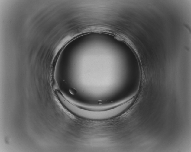 X0000100350997200806061110