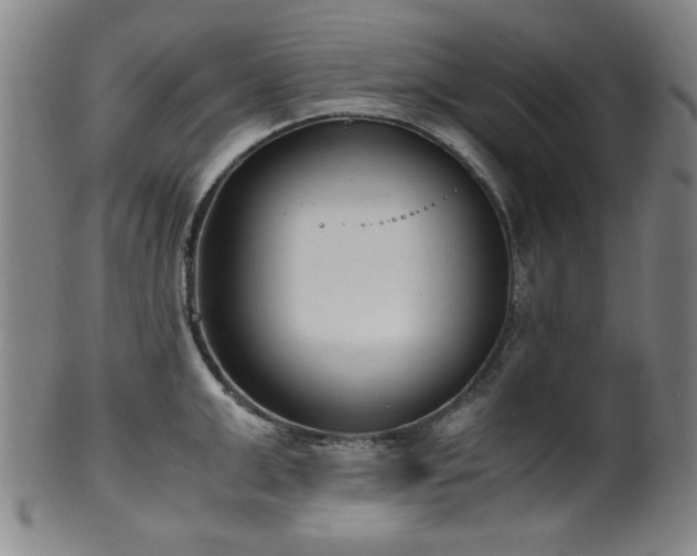 X0000100350999200806061110