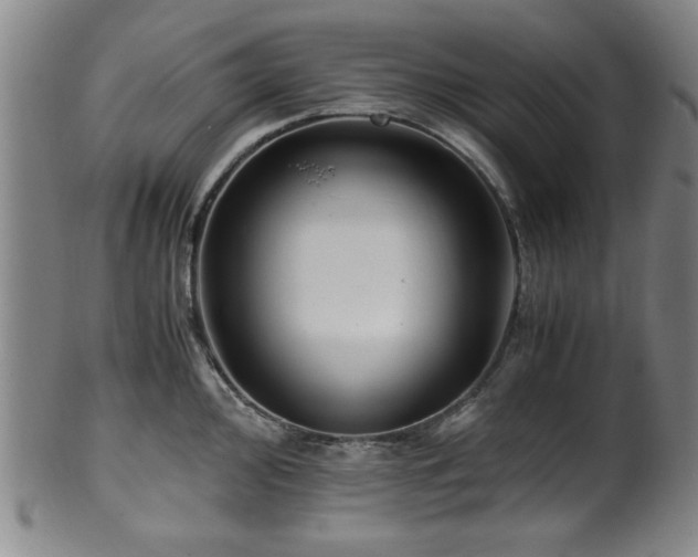 X0000100351000200806061110