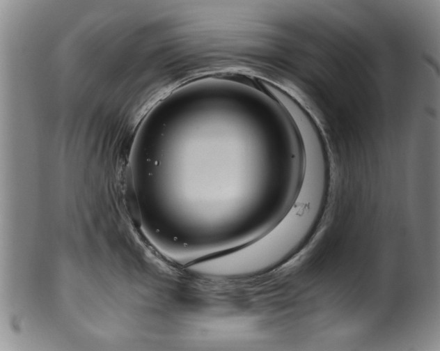 X0000100351001200806061110