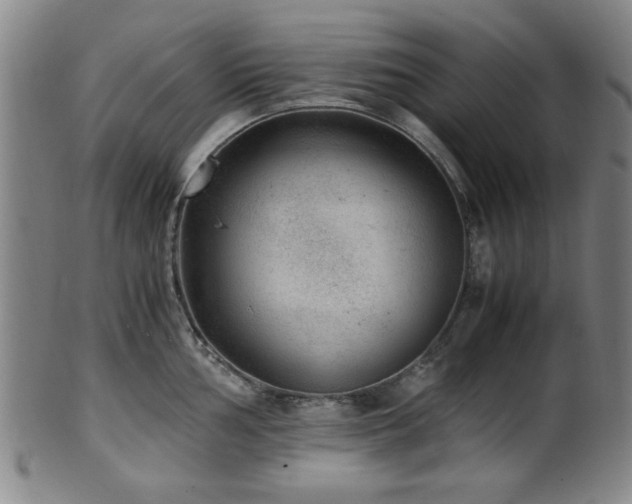 X0000100351002200806061110