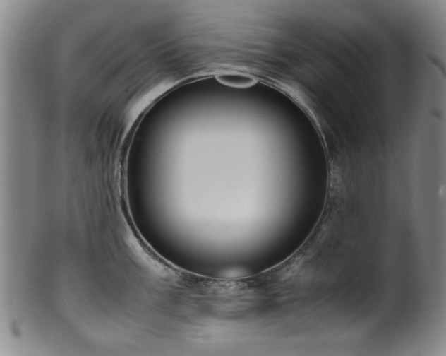 X0000100351003200806061110