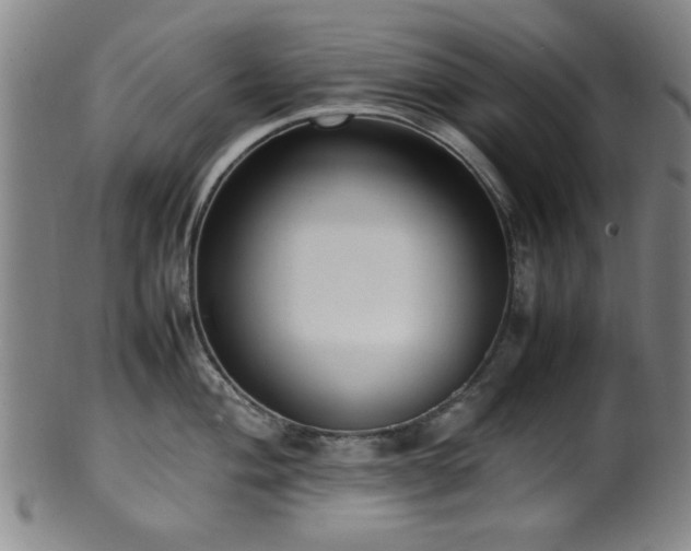 X0000100351004200806061110