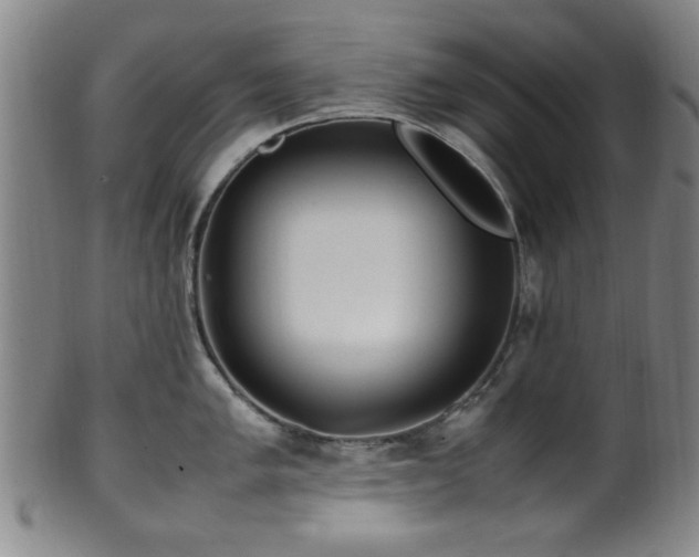 X0000100351005200806061110