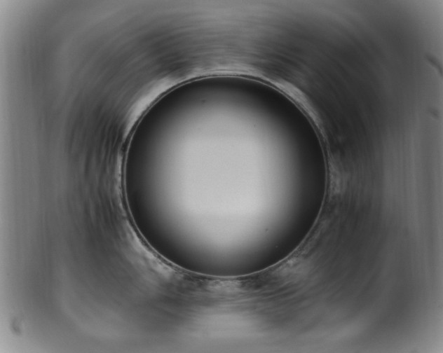 X0000100351006200806061110