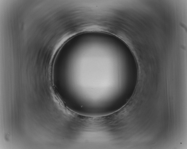X0000100351008200806061110