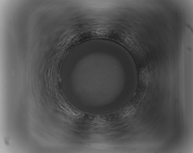 X0000100351009200806061109