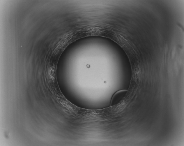 X0000100351010200806061109