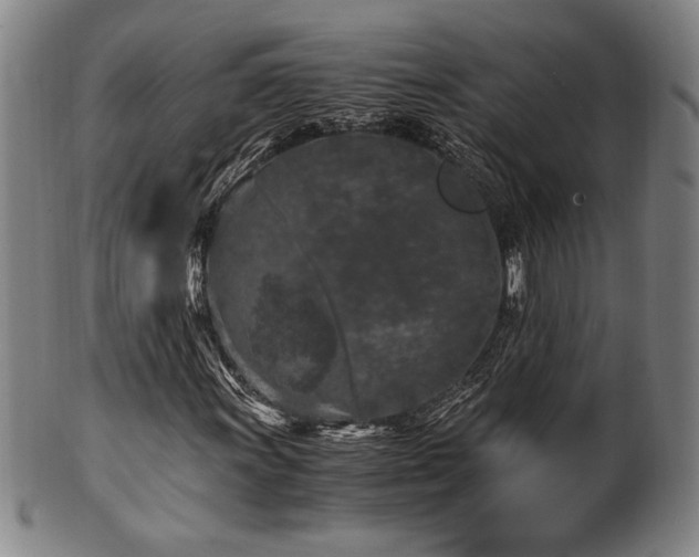 X0000100351011200806061109