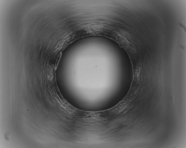 X0000100351012200806061109