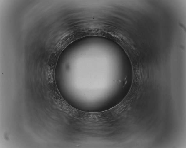 X0000100351013200806061109