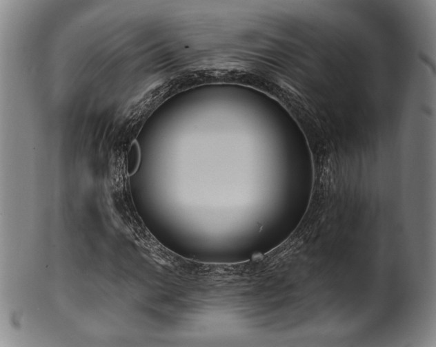 X0000100351014200806061109
