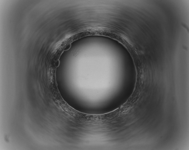X0000100351016200806061109