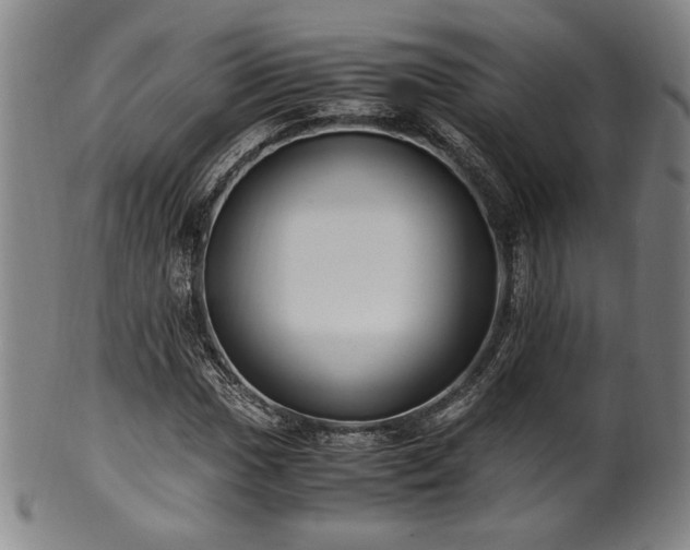 X0000100351017200806061109