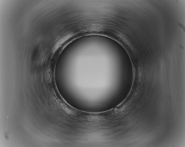 X0000100351018200806061109