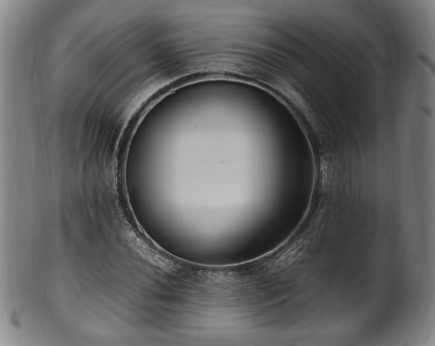 X0000100351020200806061109