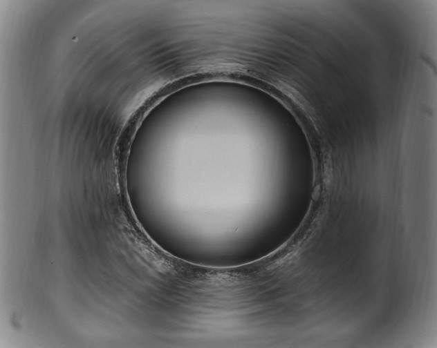 X0000100351022200806061109