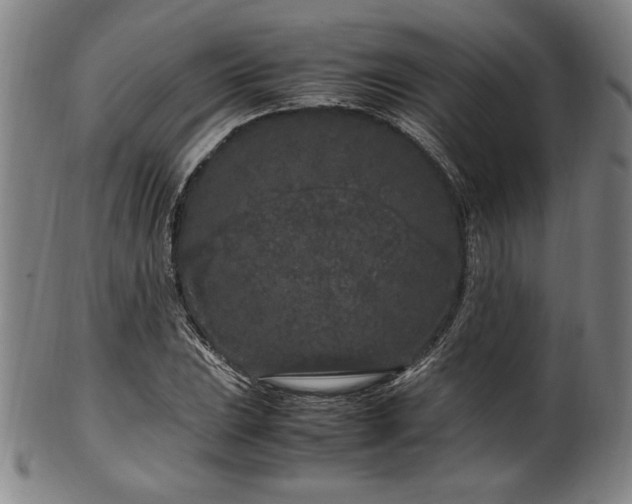 X0000100351023200806061109