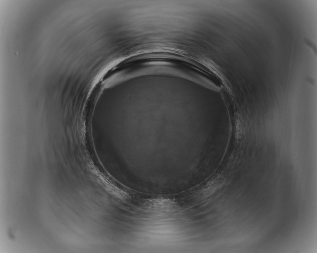 X0000100351024200806061109