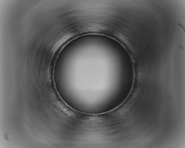 X0000100351026200806061109