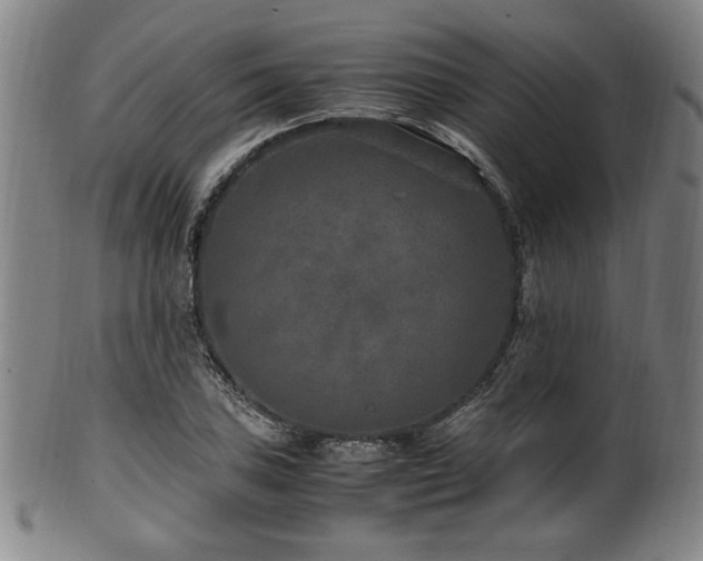 X0000100351027200806061109