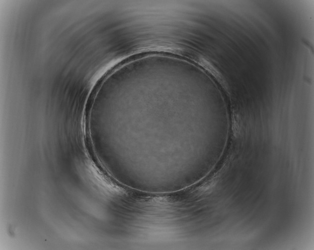 X0000100351028200806061109