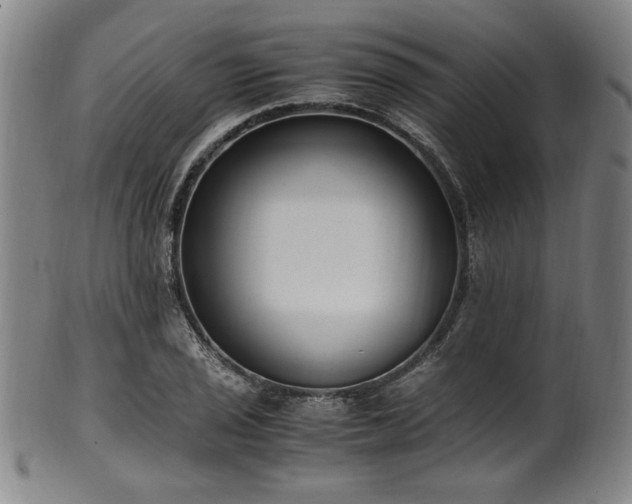 X0000100351029200806061109