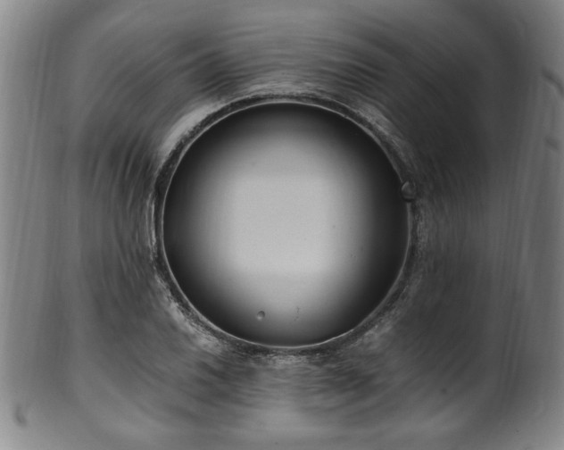 X0000100351030200806061109