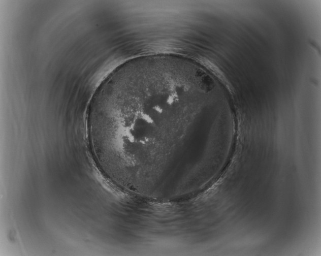 X0000100351031200806061109