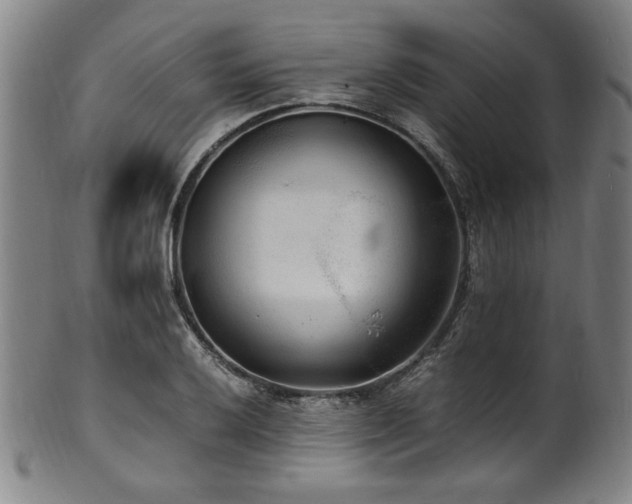 X0000100351032200806061109