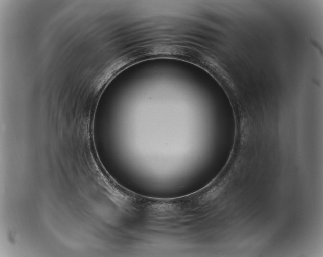 X0000100351033200806061109