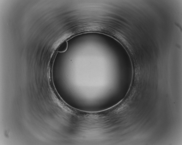 X0000100351034200806061109