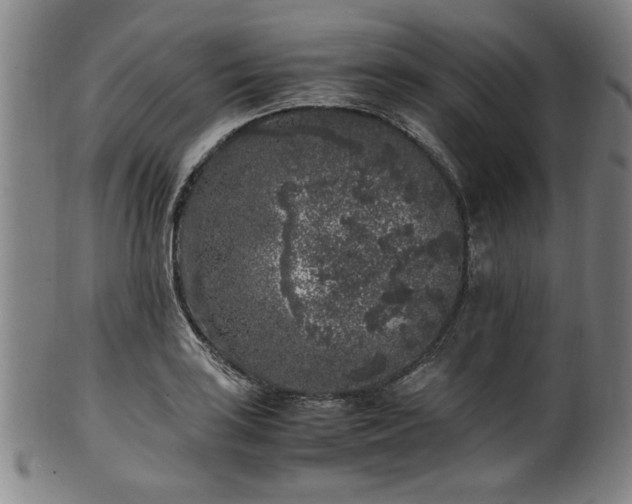 X0000100351035200806061109