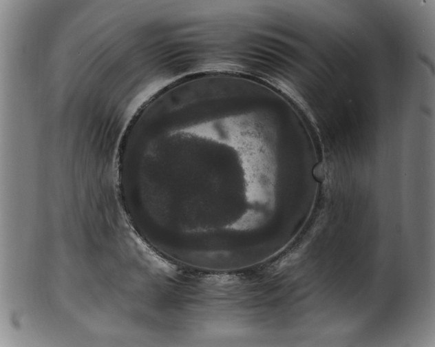 X0000100351037200806061109