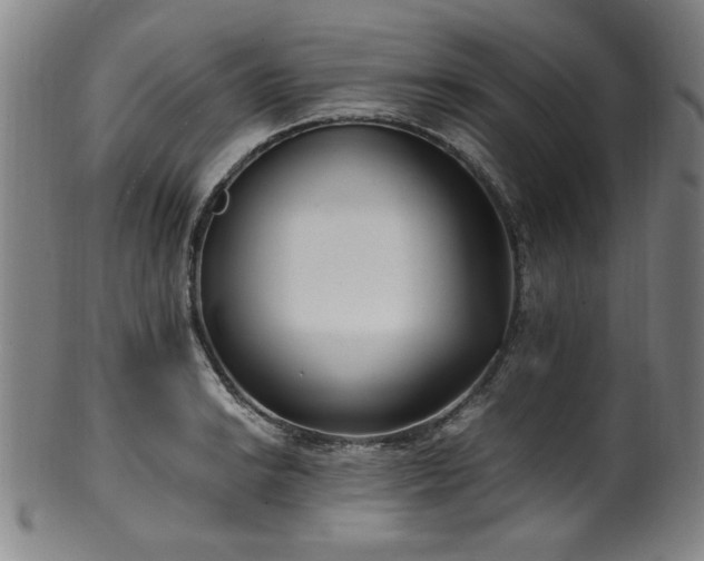 X0000100351038200806061109