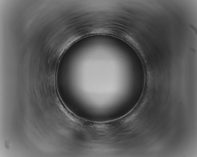 X0000100351041200806061109