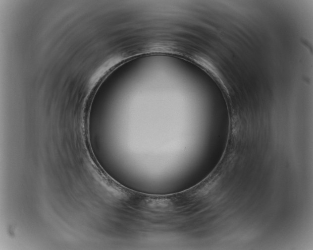 X0000100351043200806061110