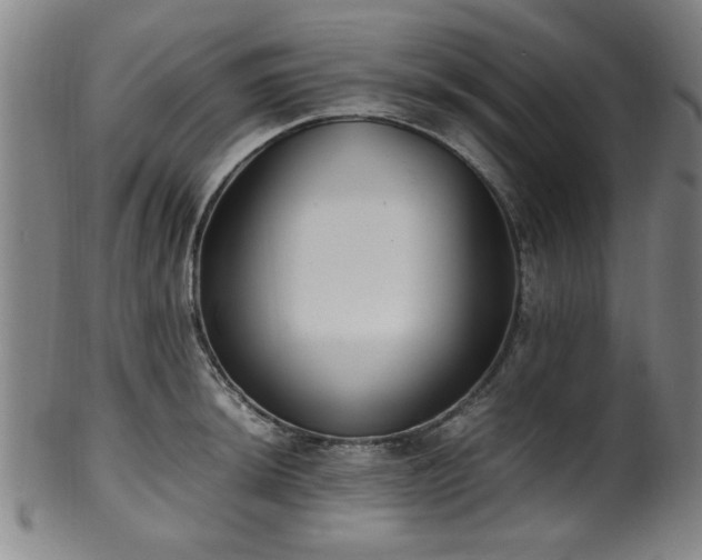 X0000100351044200806061110