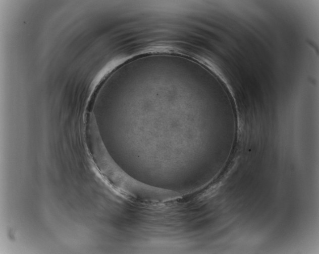 X0000100351045200806061110